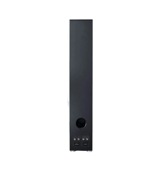 Canton GLE 90 AR S2 Black Напольная акустика